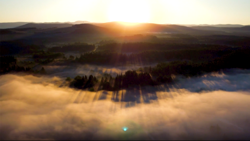 Clouds rolling over a forest. 